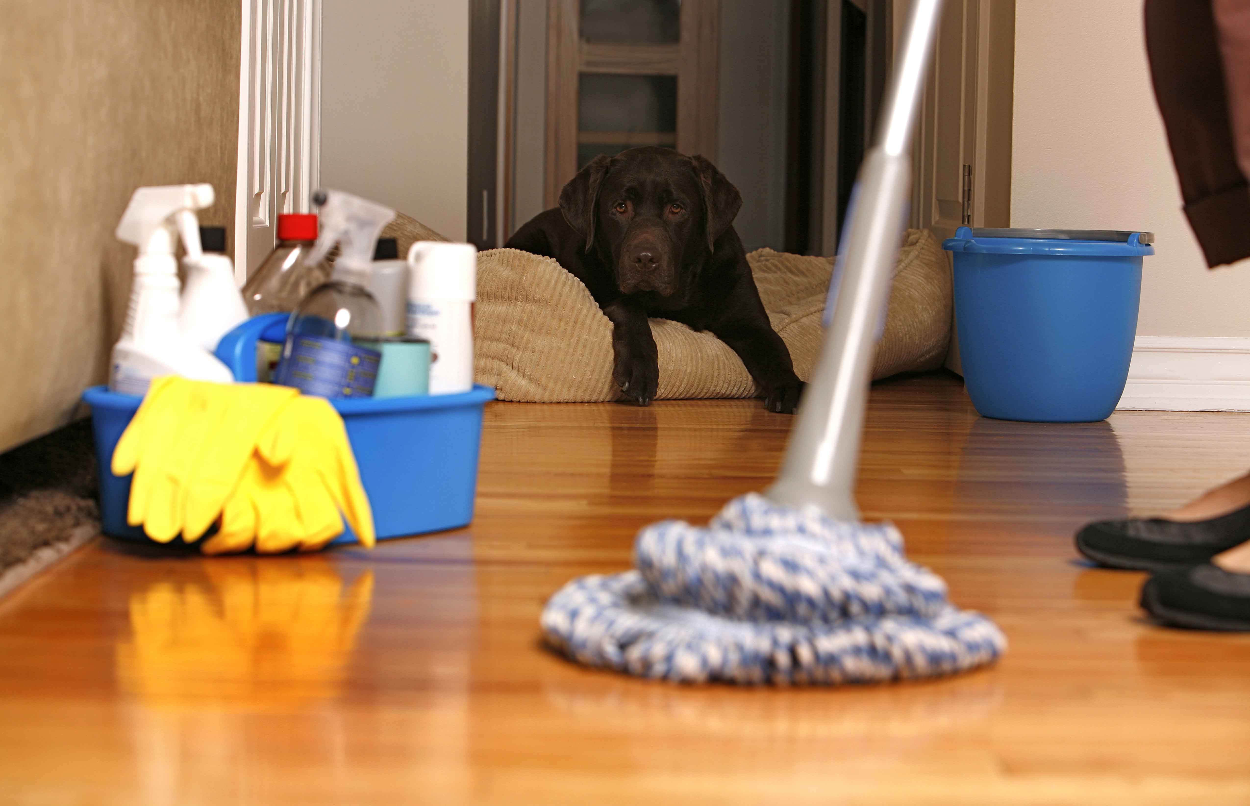 house cleaning